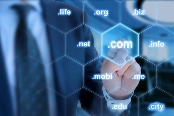 Domain Name Registration — Net10.net