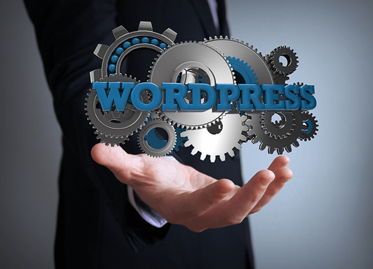 WordPress Services, Net10 Internet Services